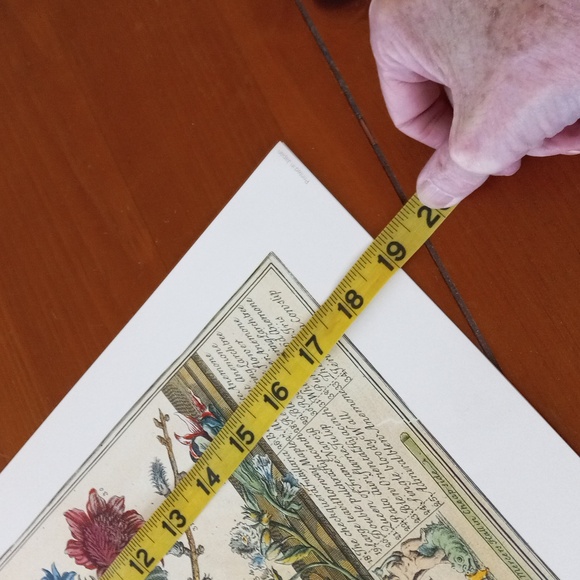 Flowers of the month prints, bundle of August February and October - Picture 9 of 13